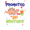 Promoted To Big Brother