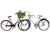 Bicycles