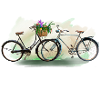 Bicycles love