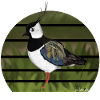 jz.birds Lapwing Bird Design