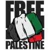 Free Palestine Israel protest