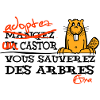 adoptez castor
