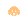 Golden Doodle Mom