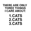 cats, cats, cats