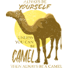 Camel animal gift