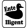 Entelligent
