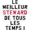 Pilote d'Avion / Steward / Aviation / Hôtesse