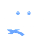 Agility Finland