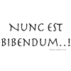 Nunc est bibendum