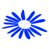 Flower blue