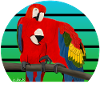 jz.birds parrot bird design
