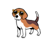 beagle