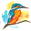 Kingfisher