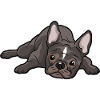 French Bulldog Dog