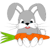 Happy rabbit with the carrot