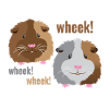 wheek wheek wheek meerschweinchen!