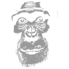Schimpanse - Chimpanzee - Monkey