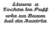 Spruch Austria Wien