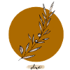 olive branch