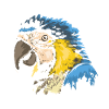 PERROQUET - PARROT - Papagei