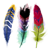 Bunte Federkunst Trio