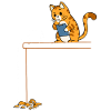 Science scientist cat physics