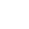 Bird flight path all white
