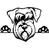 Planète Schnauzer