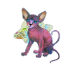alien cat