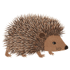 Hedgehog