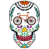Vélo de route Sugar Skull