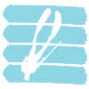 Spearfishing divers