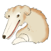 BORZOI