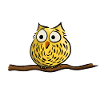 Cute owl