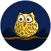 Cute owl at night