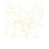 Abstract grid / line / gold / pattern
