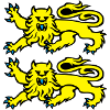 leopards normand logo drapeau 2701