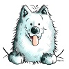 Cute Samoyed Dog