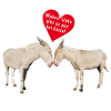 Wahre Esel Liebe