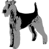Airedale Terriers grayscale