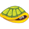 Funny scared turtle hide