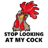 Stop looking at my cock