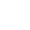 pilot