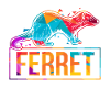 ferret