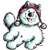 Happy Samoyed