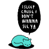 SLEEPING CAT