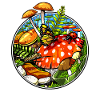 Magic Mushrooms Fungi