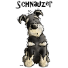 Funny Schnauzer