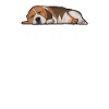 Beagle Dog Nope