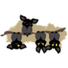 Fledermaus andersrum